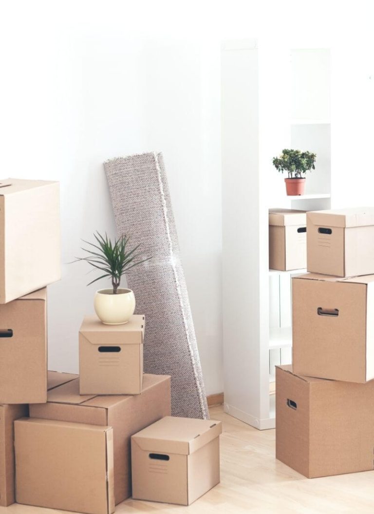 moving into first apartment