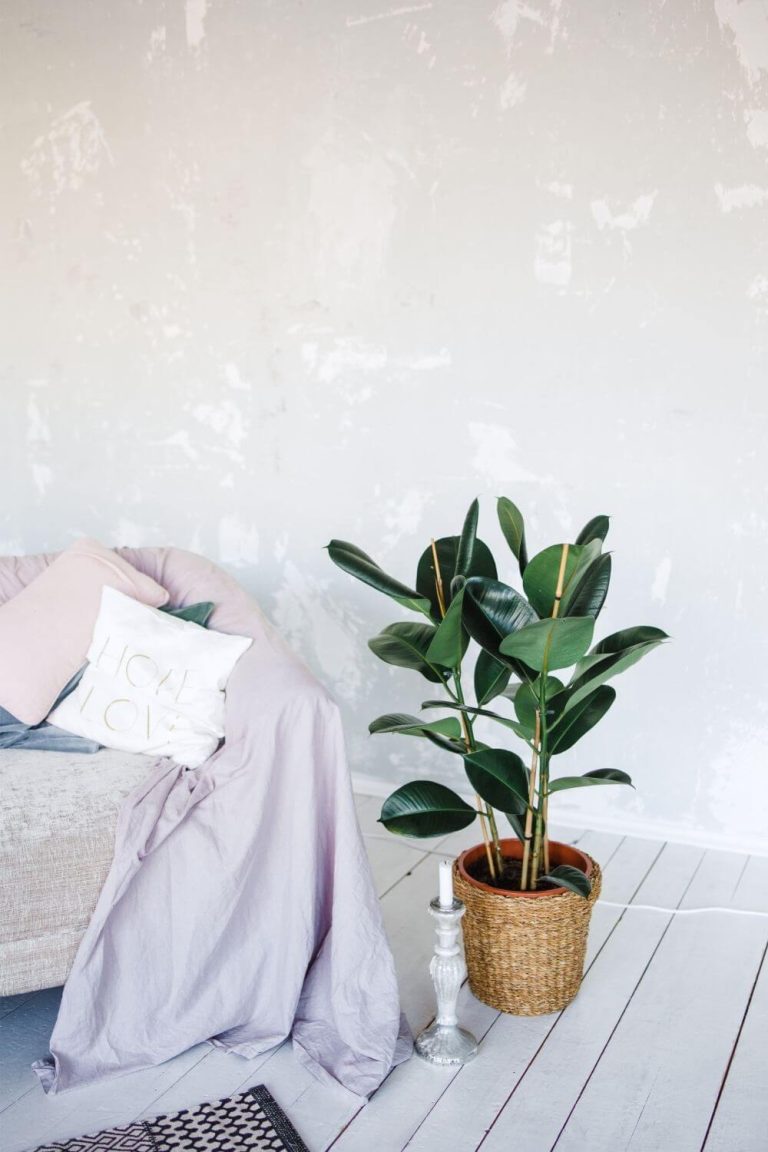small living room decorating ideas on a budget