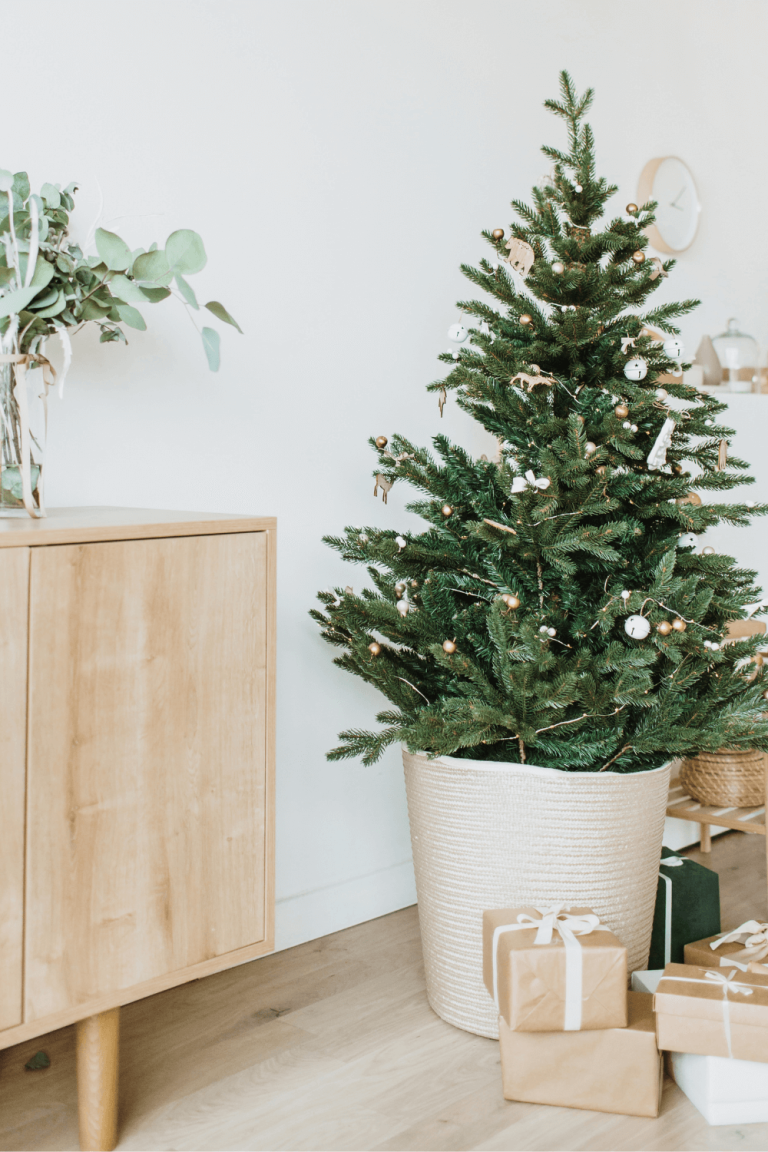 minimalist christmas decor on a budget