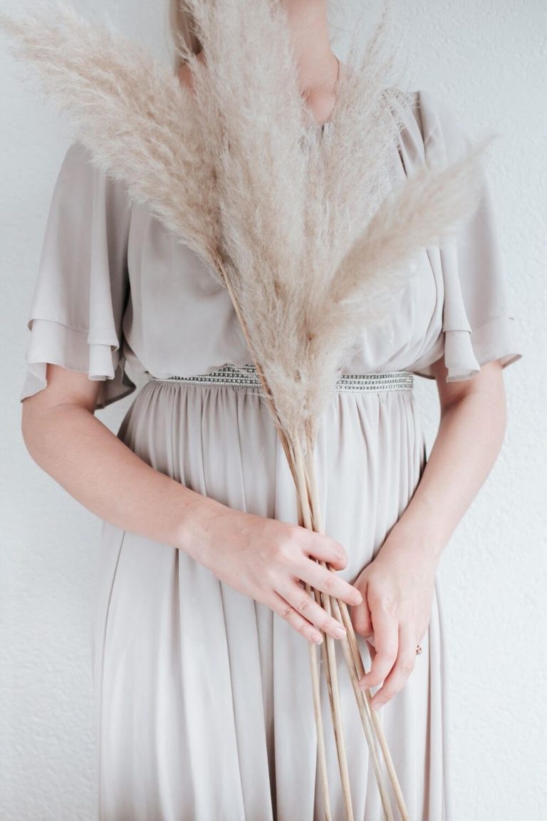 where to buy dried pampas grass