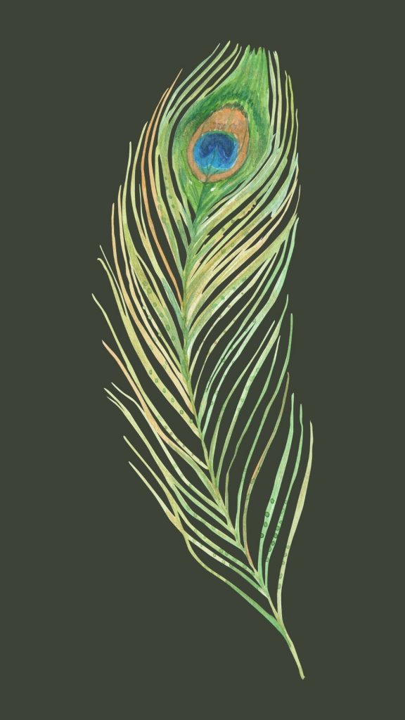 peacock wallpaper