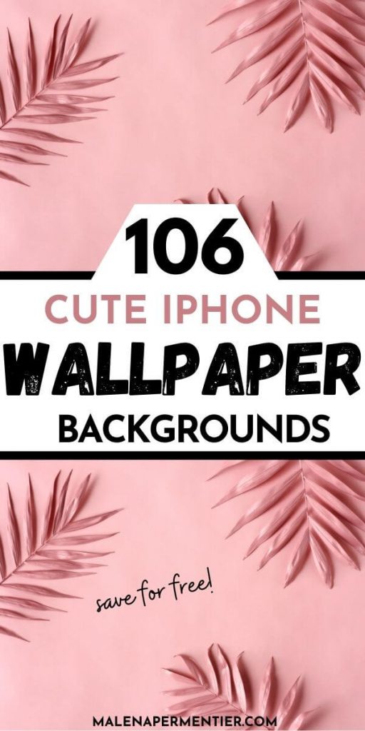 cute wallpapers