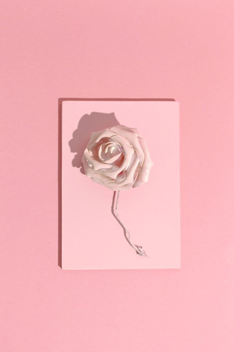 cute aesthetic wallpaper