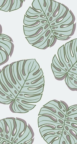 drawing of montsera leaf wallpaper