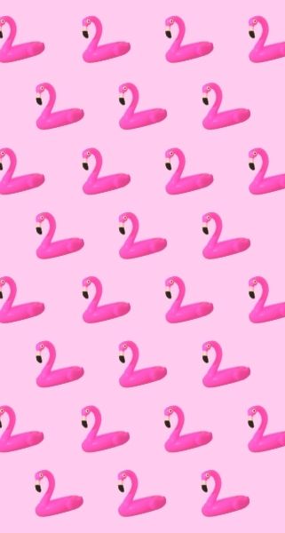 cute pink swans