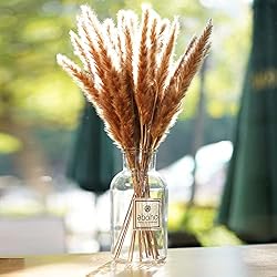 dried brown pampas grass