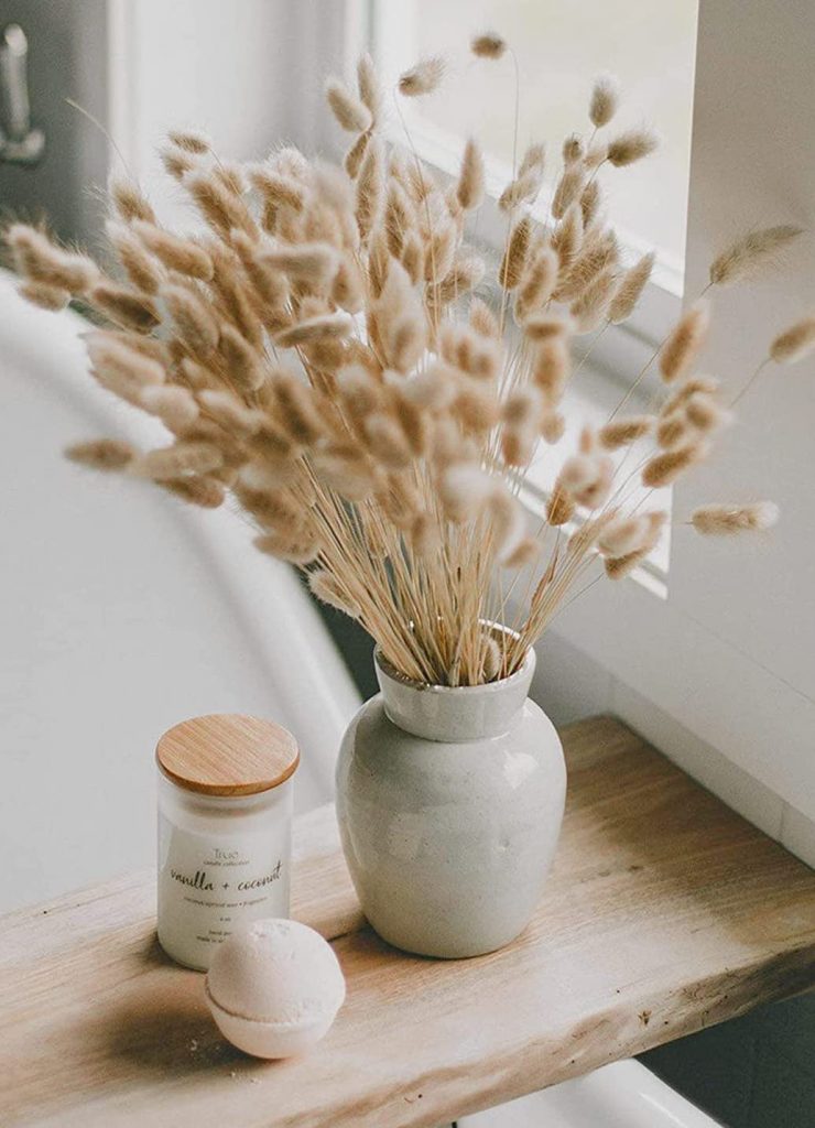 dried bunny tails grass