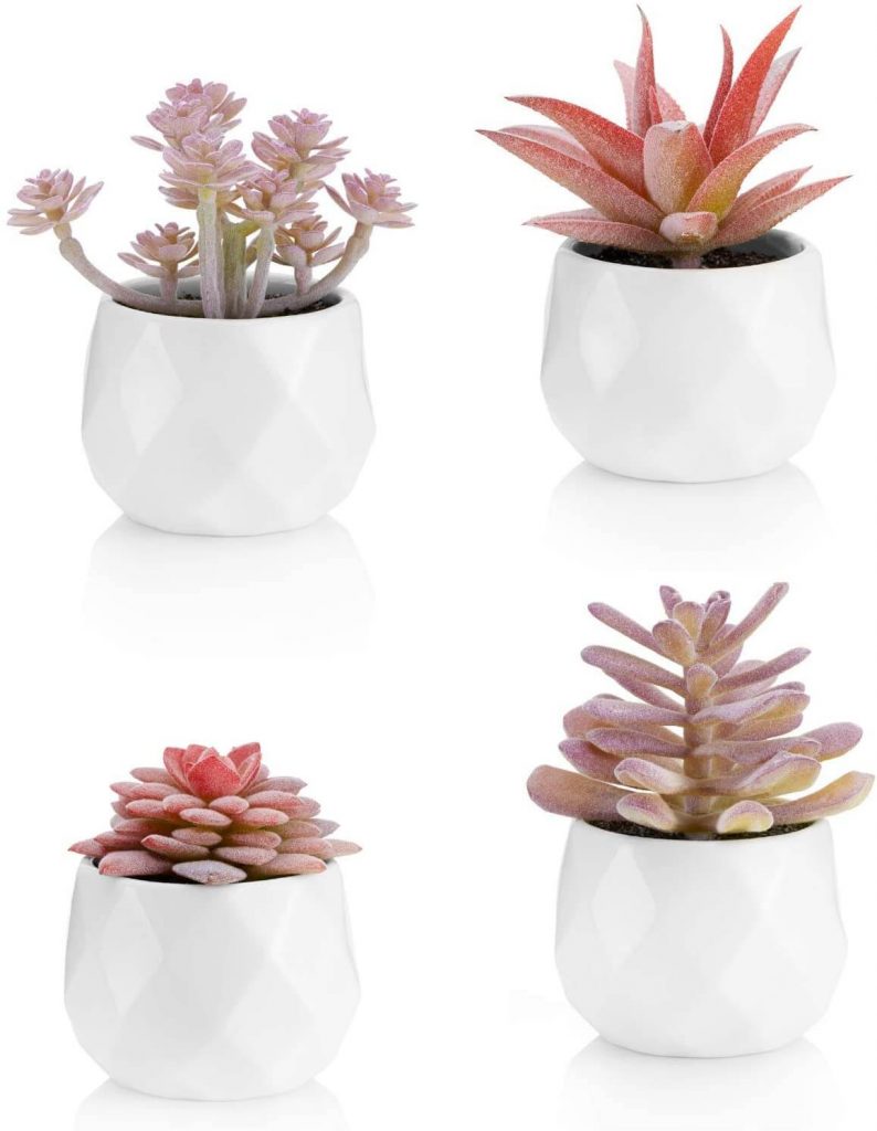cute fake succulents