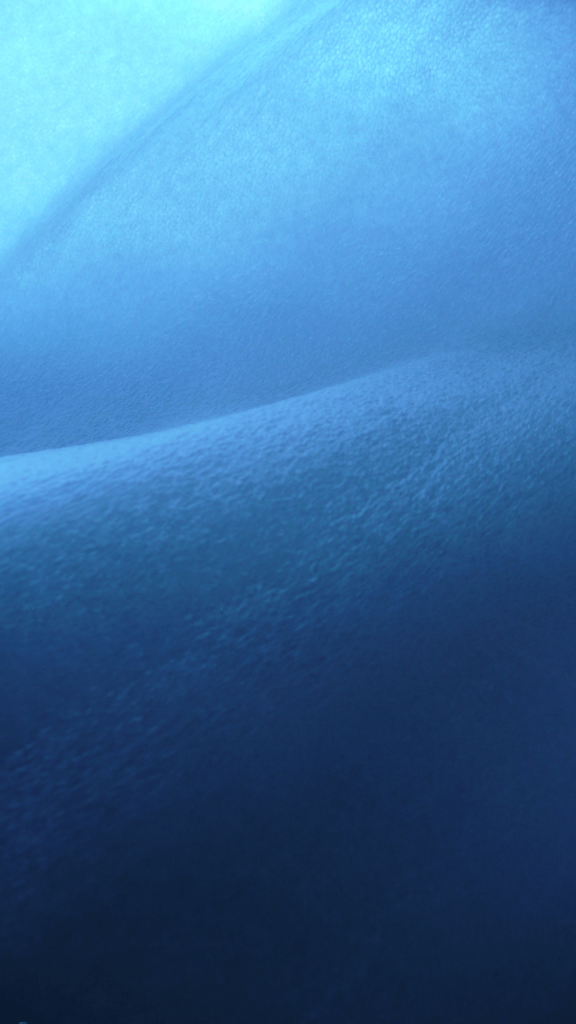 dark blue wallpapers
