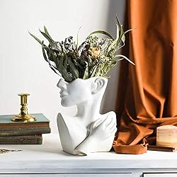 face vase