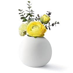 round ceramic vase