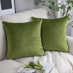 velvet green decorative pillow