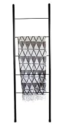 black metal ladder