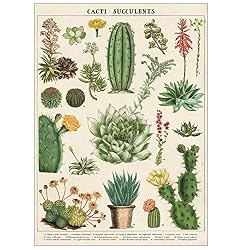 botanical wall art