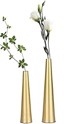 chic gold vase