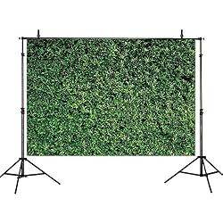 grass backdrop