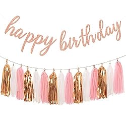 happy birthday tassel garland
