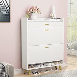 shoe storage cabinet