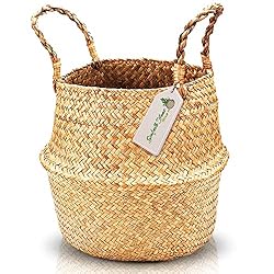 small plant basket
