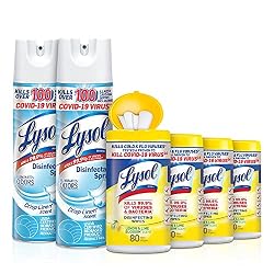 lysol wipes kit