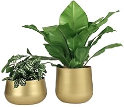 small brass flower pots