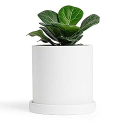 white ceramic planters