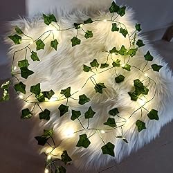 fairy lights and vines