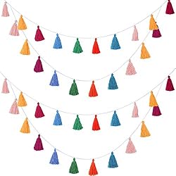 colorful tassel garland