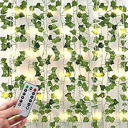 vines with lights