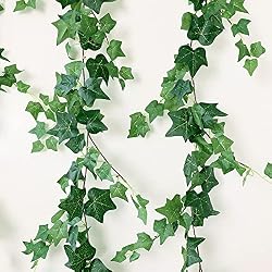 ivy strands