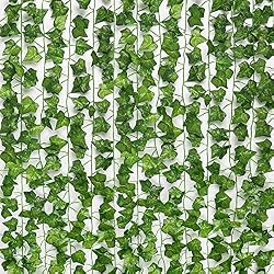vines for bedroom