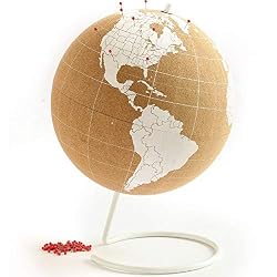 small globe with pins