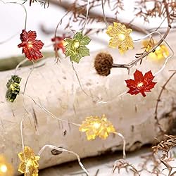 autumn leaf string light