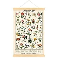 wildflowers poster