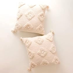 neutral boho pillows