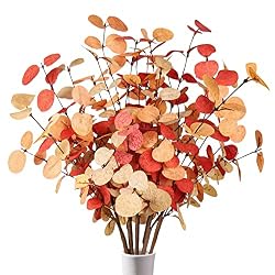 fall branches