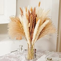 pampas grass mix
