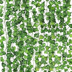 vines