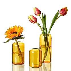 orange vase