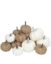 small neutral pumpkins
