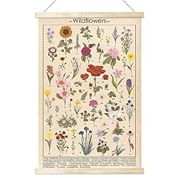 wildflowers