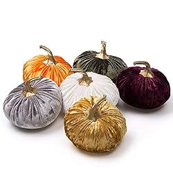 velvet pumpkins