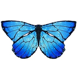 butterfly wings