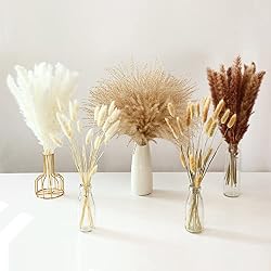 pampas grass decor