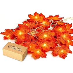 maple leaf string lights