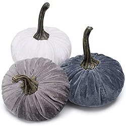 velvet neutral pumpkins