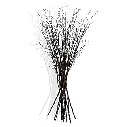 black twigs
