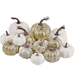 neutral pumpkins set