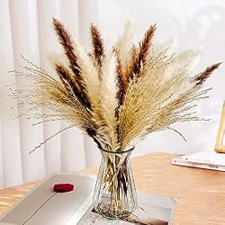 dried stems