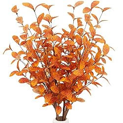 orange stems